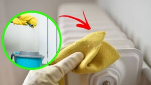 Get ready for the next winter by properly cleaning your radiators