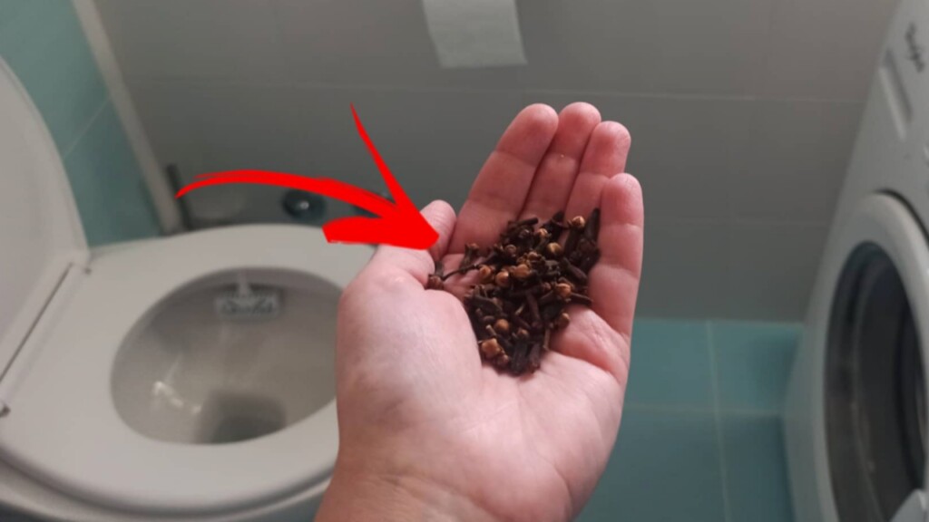 how-to-remove-that-horrible-urine-smell-from-the-bathroom-home-garden