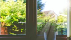 6 Errors to Avoid When Cleaning Windows