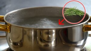 Boil the Rosemary for 5 Minutes: You Will Get Something Amazing