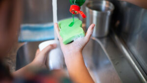 A Drop of Vinegar in the Dish Sponge, Because Many People Do It