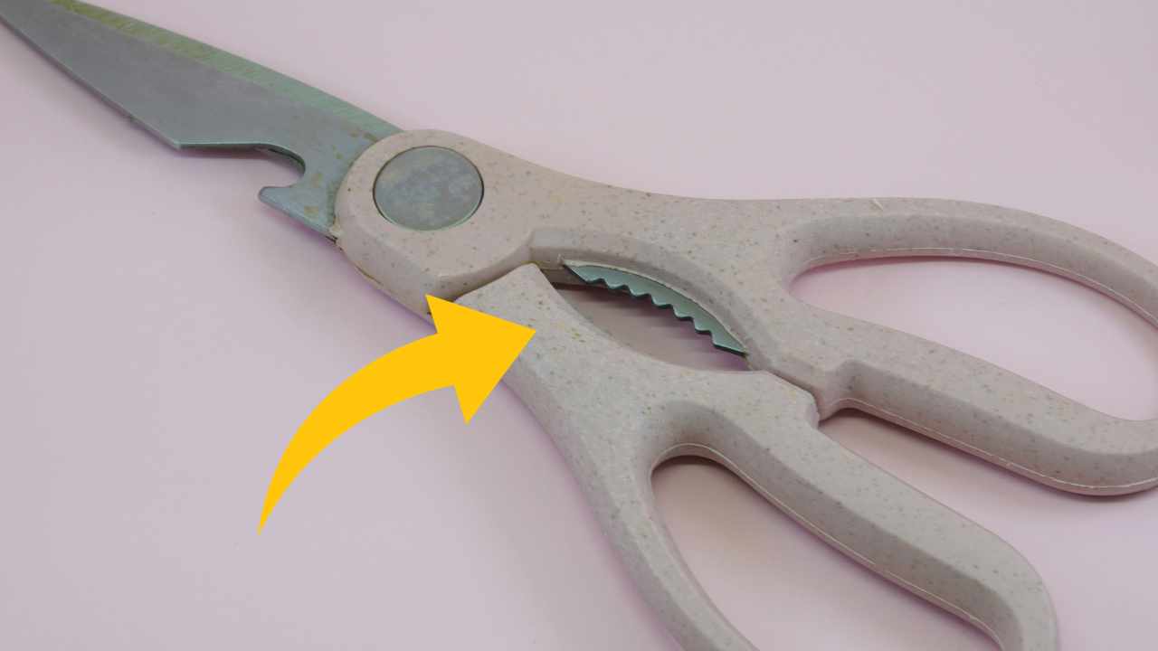 serrated part of scissor